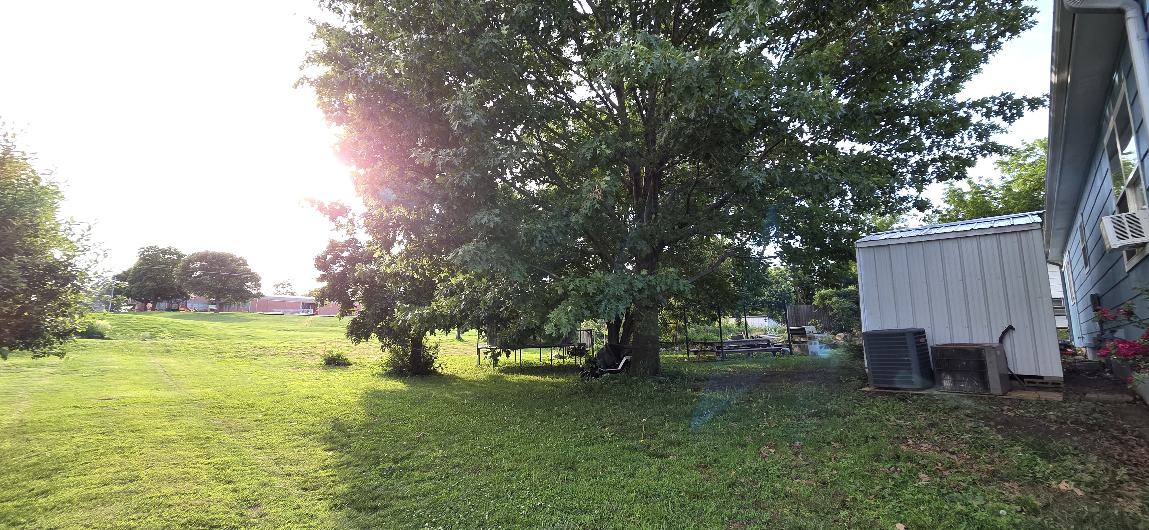 Backyard